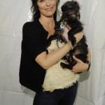 ImageBam image upload