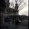 imagebam.com