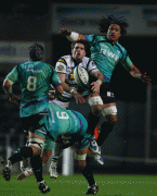 902d0154926618.gif