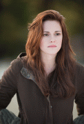 bf264255056093.gif