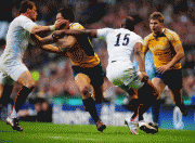 aa9c4b55158008.gif