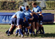 184a3055777250.gif