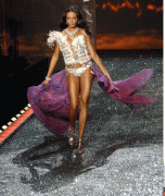 2c184a56955339.gif