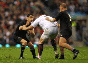 41e48d57020577.gif