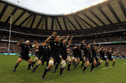 78b07b57020540.gif