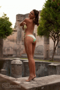 dd3b7c57221633.gif