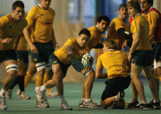 cbed1257301333.gif