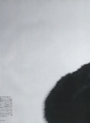 23d61559206596.gif