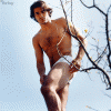 imagebam.com