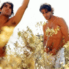imagebam.com