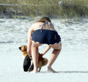 e6a1f061373433.gif