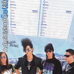 NEWS; Bill & Tom  So different and so equal - Bravo