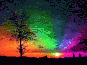 8ac5d865997121.gif