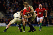 9961a267038558.gif