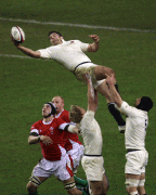 ea94b367038539.gif