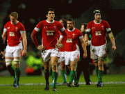 c41a6e67179780.gif