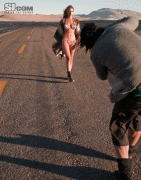 9cd0f767435334.gif