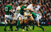 1741fa69901992.gif
