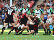 e3f5b876877359.gif