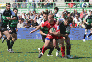 455f8e77136967.gif