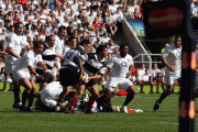 d1b04782625125.gif