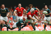 4d220083405631.gif